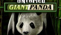 Untamed Giant Panda (Непринужденная гигантская панда)