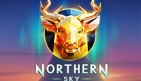 Northern Sky (Северное небо)
